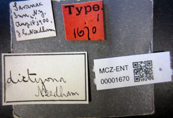Media type: image;   Entomology 1670 Aspect: labels